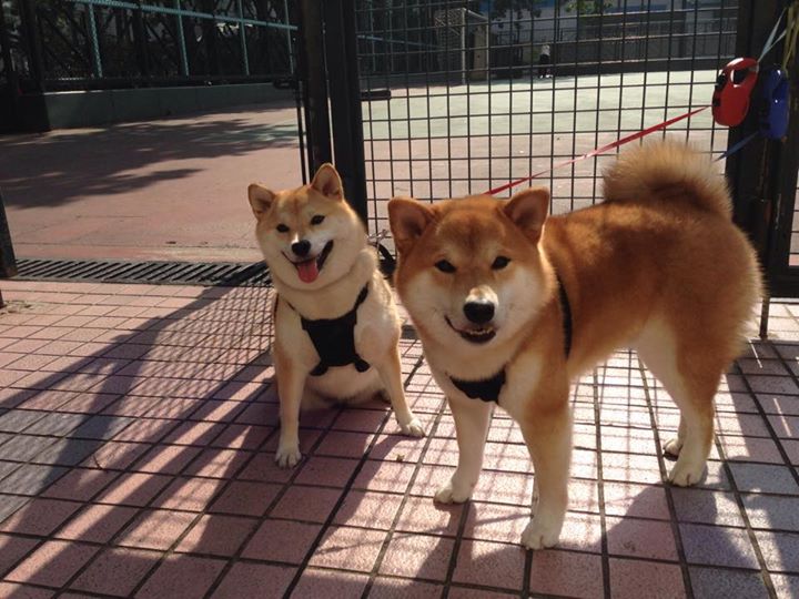 世界杯预选赛中国青年队晋级 球迷期待新星崛起，2022世界杯预选赛中国队怎么样才能出线