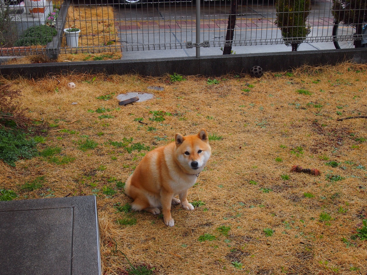 中国男篮注重进攻多样化,中国男篮规划