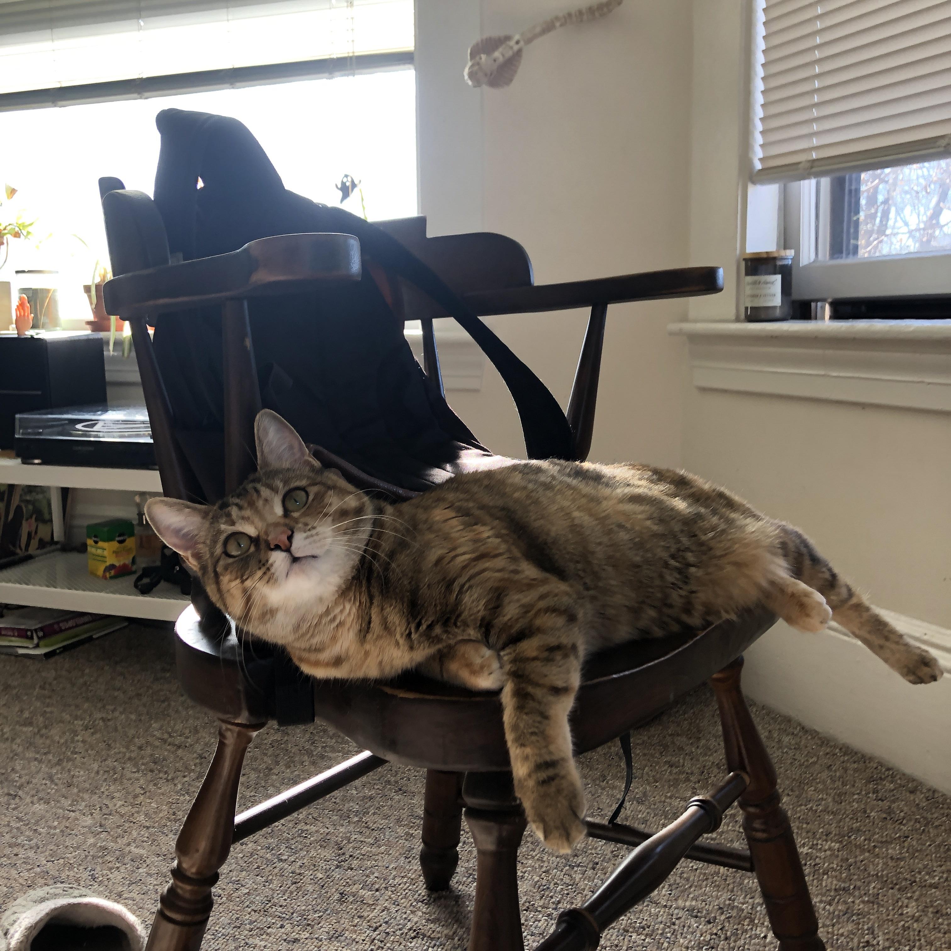 中国香港队赛制透视：如何通过赛制调整有效提升战术表现，香港的比赛