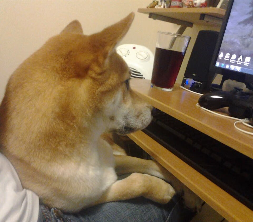 全国青少年轮滑赛道赛速度与技巧并重,青少年轮滑比赛视频