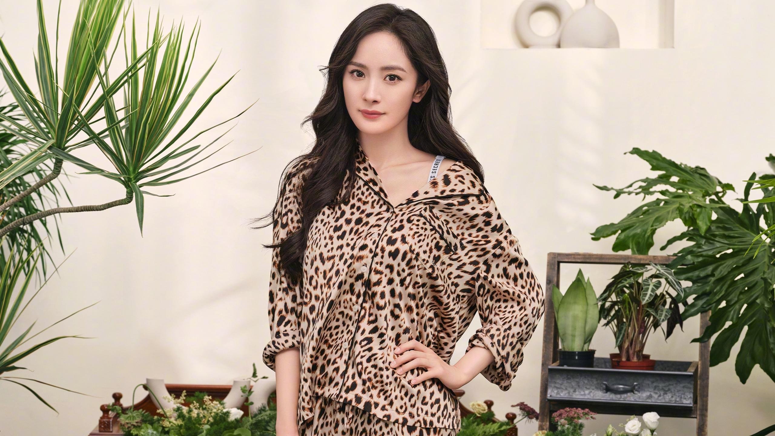 德国队备战国际乒联混合团体世界杯:赛制的优劣势解析,德国乒乓球世锦赛