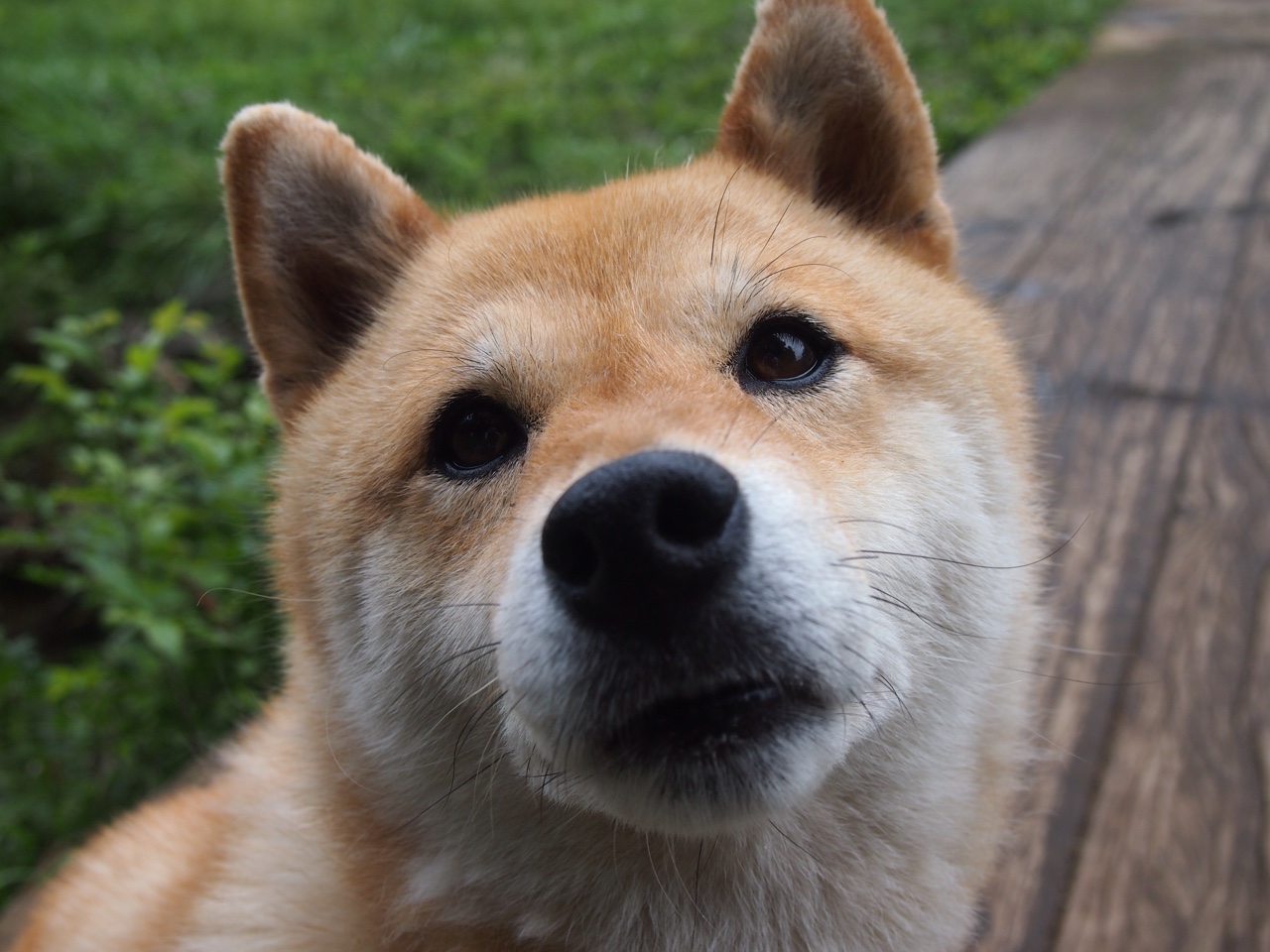 技术雷达图显示划水效率进步明显