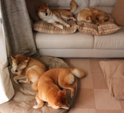 球队战术板中是否更倾向构建中心向外疏导进攻方式，篮球战术板应用