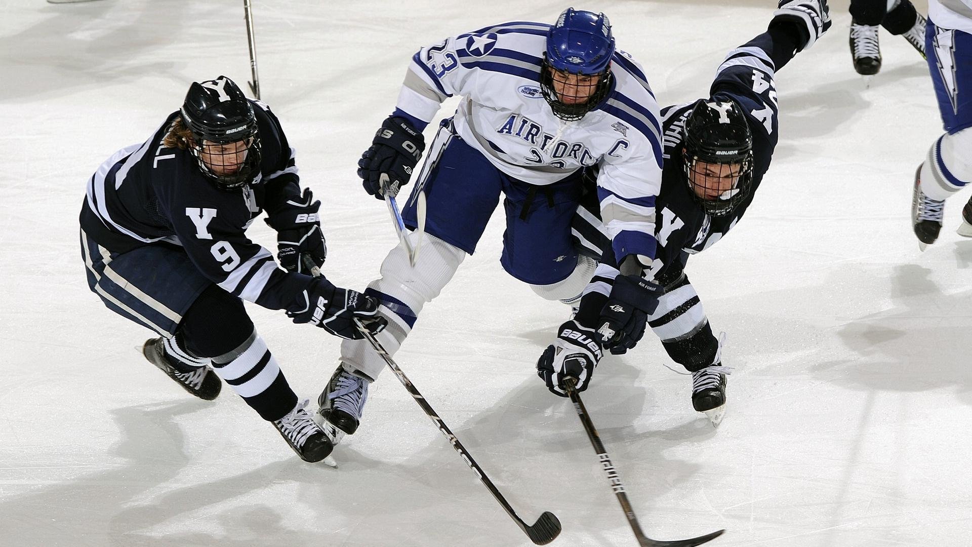 主场气氛热烈观众打出创意标语为球队送上全场支持,球队主题